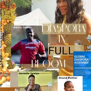 Beyond Iyanola Digest – Issue 08 – October – December 2022